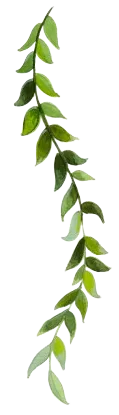 Soraya Veda – Energie Heilung – Leaf